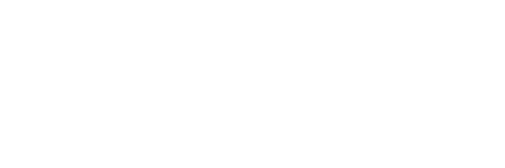 Tokunbo 合作伙伴标识